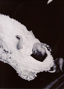 Image description is not available for 2020.004